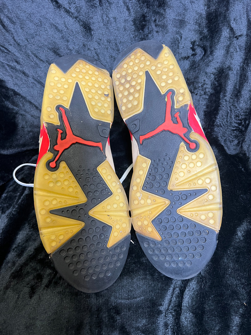 Air Jordan VI Dual Signed - GOAT Authentics LOA for Each Shoe